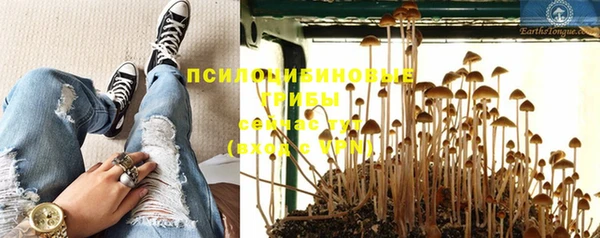 гидропоника Аркадак